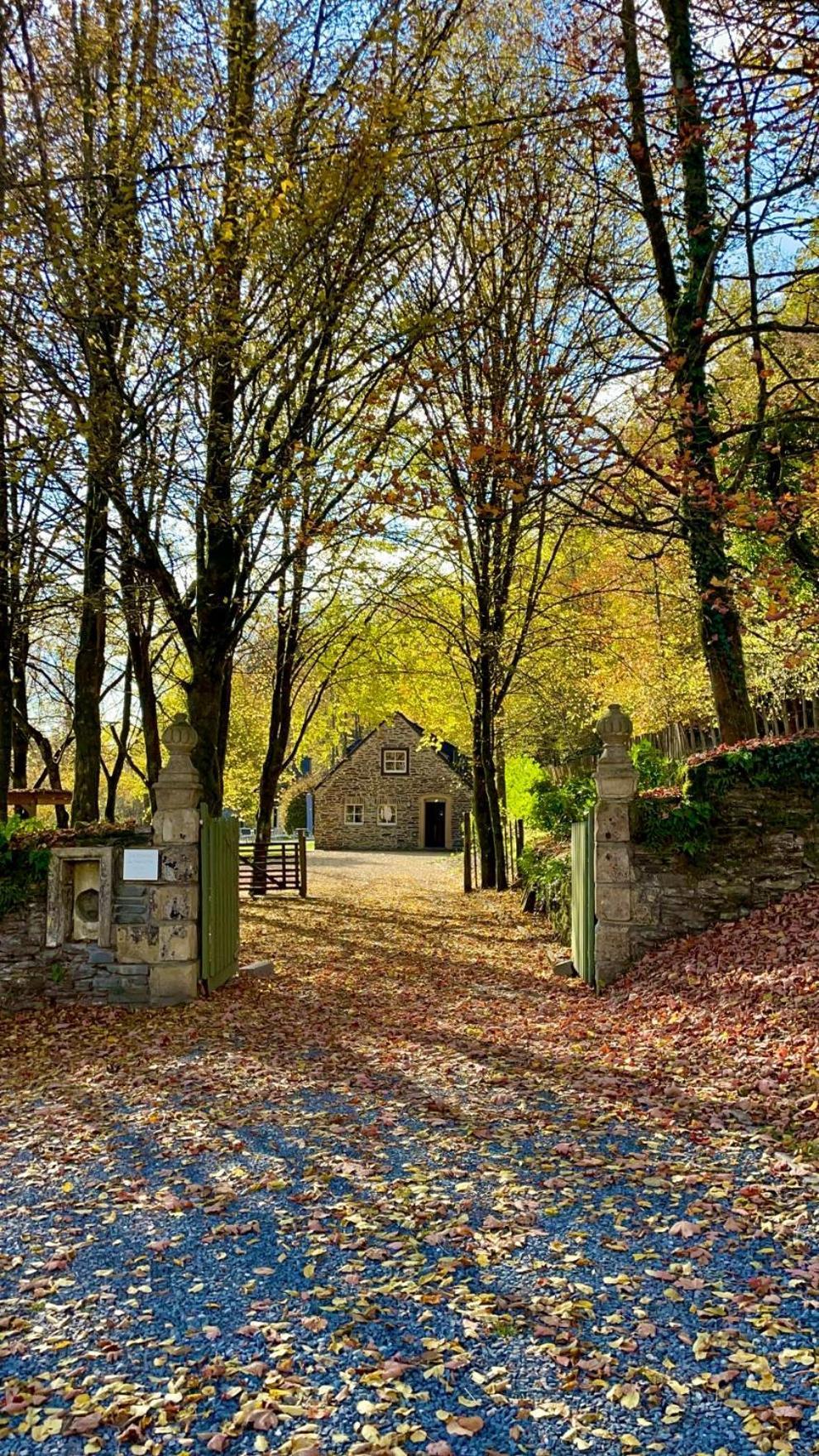 Chateau Du Pont D'Oye Habay-la-Neuve Dış mekan fotoğraf